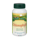 CLOROFILA SUNNY GREEN 90 TABLETAS