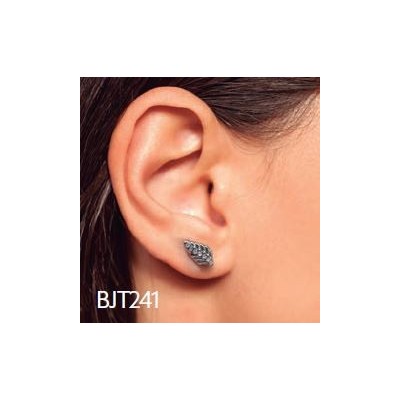 Comprar BIOJOUX PENDIENTES PLUMA 10 MM BJT241 1 PAR al mejor precio en NuestraFarma, tu farmacia online
