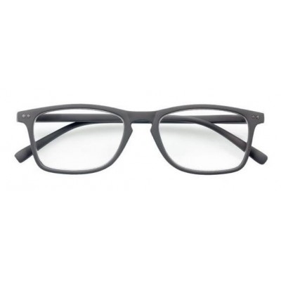 Comprar ACOFARMA NESIRA GAFAS DE PRESBICIA GRIS +3.0 al mejor precio en NuestraFarma, tu farmacia online