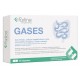 FARLINE COMPLEMENTOS GASES 60 CAPSULAS