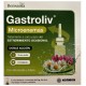 BENSANIA GASTROLIV MICROENEMAS CON MALVA Y MANZANILLA  6 CANULAS