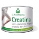 EL NATURALISTA CREATINA SABOR NARANJA 300 G