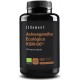 ZENEMENT ASHWAGANDHA ECOLOGICA KSM-66 120 CAPSULAS