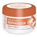 FARLINE BALSAMO REPARADOR NARIZ Y LABIOS PEDIATRICO 15 ML