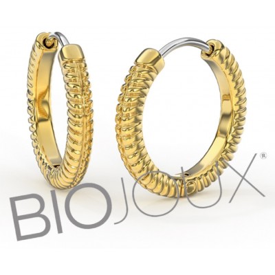 Comprar BIOJOUX PENDIENTES QUEEN ANNE 18 MM BJT385 1 PAR al mejor precio en NuestraFarma, tu farmacia online