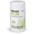 BRUDY PLUS 90 PERLAS