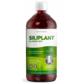 SILICIUM G7 SILIPLANT 1 LITRO