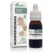 SORIA NATURAL ROMPEPIEDRAS EXTRACTO NATURAL 50 ML