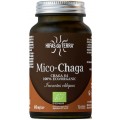HIFAS DA TERRA MICO-CHAGA 70 CAPSULAS
