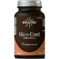 HIFAS DA TERRA MICO-CORD 70 CAPSULAS