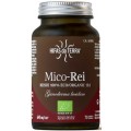 HIFAS DA TERRA MICO-REI 70 CAPSULAS
