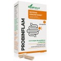 SORIA NATURAL PROBINFLAM 20 CAPSULAS