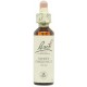 FLORES DE BACH FLOR DE BACH 30 SWEET CHESTNUT 20 ML