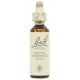 FLORES DE BACH FLOR DE BACH 35 WHITE CHESTNUT 20 ML