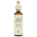 FLORES DE BACH FLOR DE BACH 35 WHITE CHESTNUT 20 ML