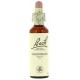 FLORES DE BACH FLOR DE BACH 17 HORNBEAM 20 ML