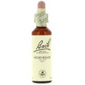 FLORES DE BACH FLOR DE BACH 17 HORNBEAM 20 ML