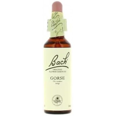 Comprar FLORES DE BACH FLOR DE BACH 13 GORSE 20 ML al mejor precio en NuestraFarma, tu farmacia online