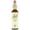 FLORES DE BACH FLOR DE BACH 13 GORSE 20 ML