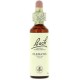 FLORES DE BACH FLOR DE BACH 09 CLEMATIS 20 ML
