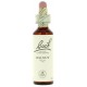 FLORES DE BACH FLOR DE BACH 33 WALNUT-NOGAL 20 ML