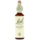 FLORES DE BACH FLOR DE BACH 26 ROCK ROSE 20 ML