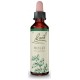 FLORES DE BACH FLOR DE BACH 15 HOLLY 20 ML