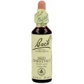 FLORES DE BACH FLOR DE BACH 25 RED CHESTNUT 20 ML