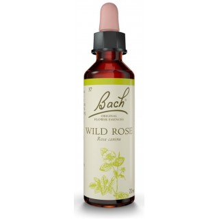 FLORES DE BACH FLOR DE BACH 37 WILD ROSE 20 ML