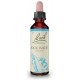 FLORES DE BACH FLOR DE BACH 27 ROCK WATER 20 ML