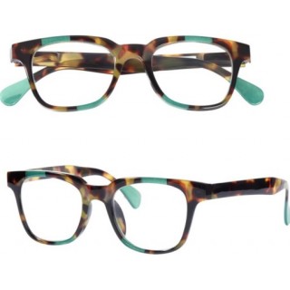 VITRY GAFAS PRESBICIA CARTEL PARIS PARADISO L13A +2,50 1 UNIDAD