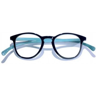 Comprar VITRY GAFAS PRESBICIA CARTEL PARIS BRIGHTON L26A +1,50 1 UNIDAD al mejor precio en NuestraFarma, tu farmacia online