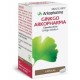 GINKGO ARKOPHARMA 180 MG 50 CAPSULAS