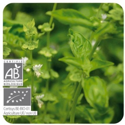 Comprar PRANAROM ACEITE ESENCIAL ALBAHACA EXOTICA 10 ML al mejor precio en NuestraFarma, tu farmacia online