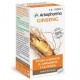 ARKOCAPSULAS GINSENG 45 CAPSULAS