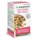 ARKOCAPSULAS LECITINA DE SOJA 42 CAPSULAS