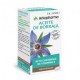 ARKOCAPSULAS ACEITE DE BORRAJA BIO 50 CAPSULAS