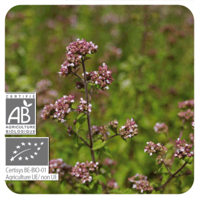 Comprar PRANAROM PERLAS OREGANO VULGAR 60 PERLAS al mejor precio en NuestraFarma, tu farmacia online