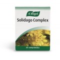 SOLIDAGO COMPLEX A.VOGEL 60 COMPRIMIDOS
