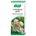 CRATAEGISAN A.VOGEL GOTAS 100 ML