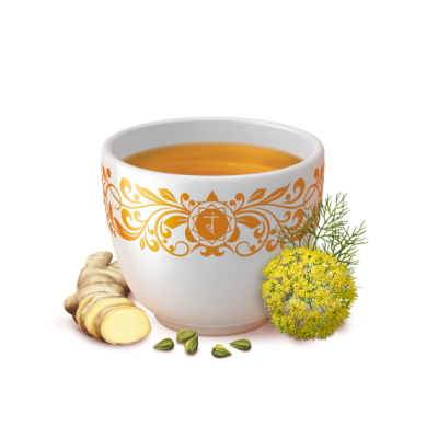 Comprar YOGI TEA BIOLOGICO DIGESTION 17 BOLSITAS al mejor precio en NuestraFarma, tu farmacia online