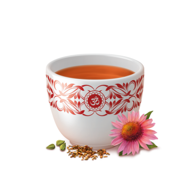 Comprar YOGI TEA BIOLOGICO EQUINACEA 17 BOLSITAS al mejor precio en NuestraFarma, tu farmacia online