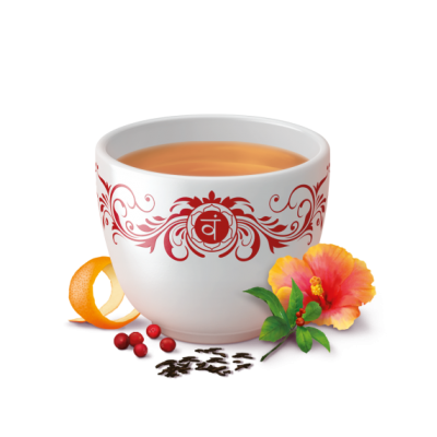 Comprar YOGI TEA BIOLOGICO ENERGIA POSITIVA ARANDANOS ROJOS HIBISCO 17 BOLSITAS al mejor precio en NuestraFarma, tu farmacia online