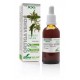 ORTIGA VERDE EXTRACTO S.XXI SORIA NATURAL 50 ML