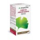 GINKGO ARKOPHARMA 180 MG 200 CAPSULAS