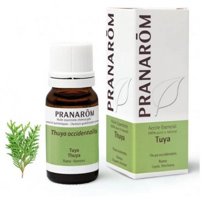 Comprar PRANAROM TUYA ACEITE ESENCIAL 5 ML al mejor precio en NuestraFarma, tu farmacia online