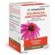 EQUINACEA ARKOPHARMA 250 MG 100 CAPSULAS